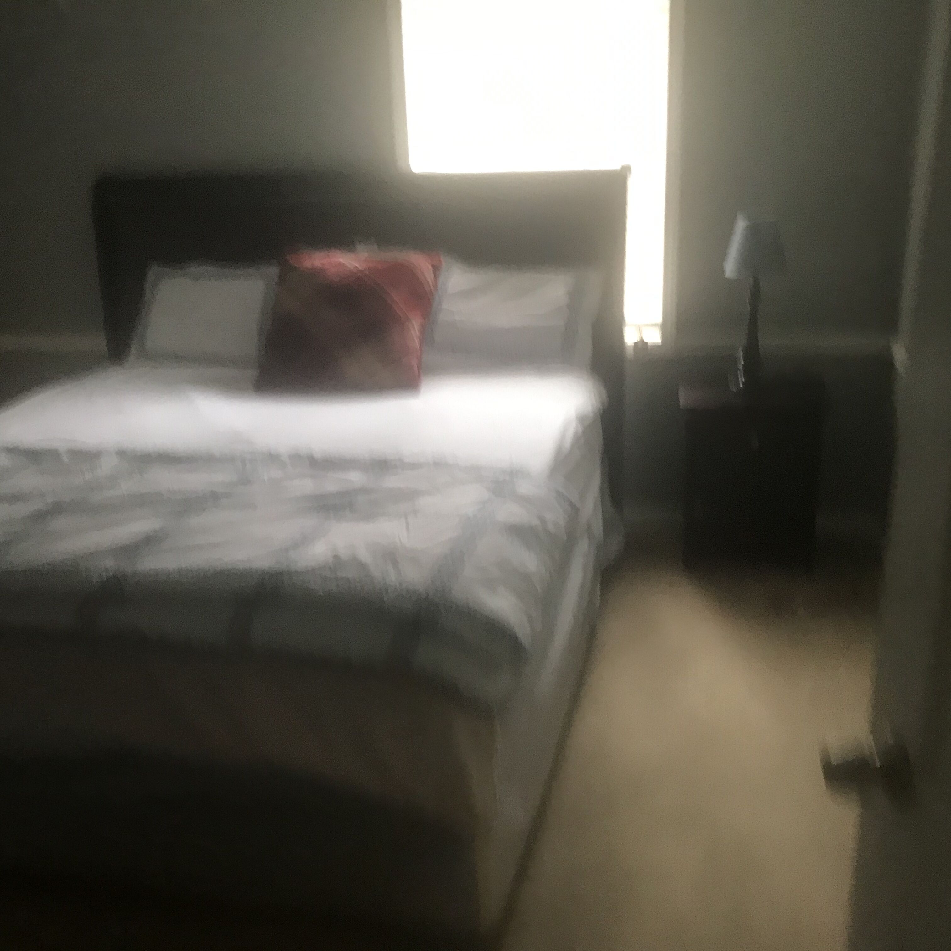 Luxury Urban Lake House