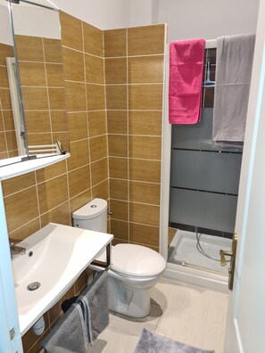Regadera, secadora de cabello, toallas, papel de baño 