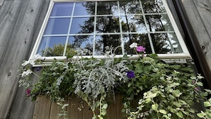 A wooden building with a large window and a flower box with various plants and flowers. - Next Avail. Aug 22 - 3 night min - AC - Premier Cottage, King Bedroom, Pets Free (Round Pond)