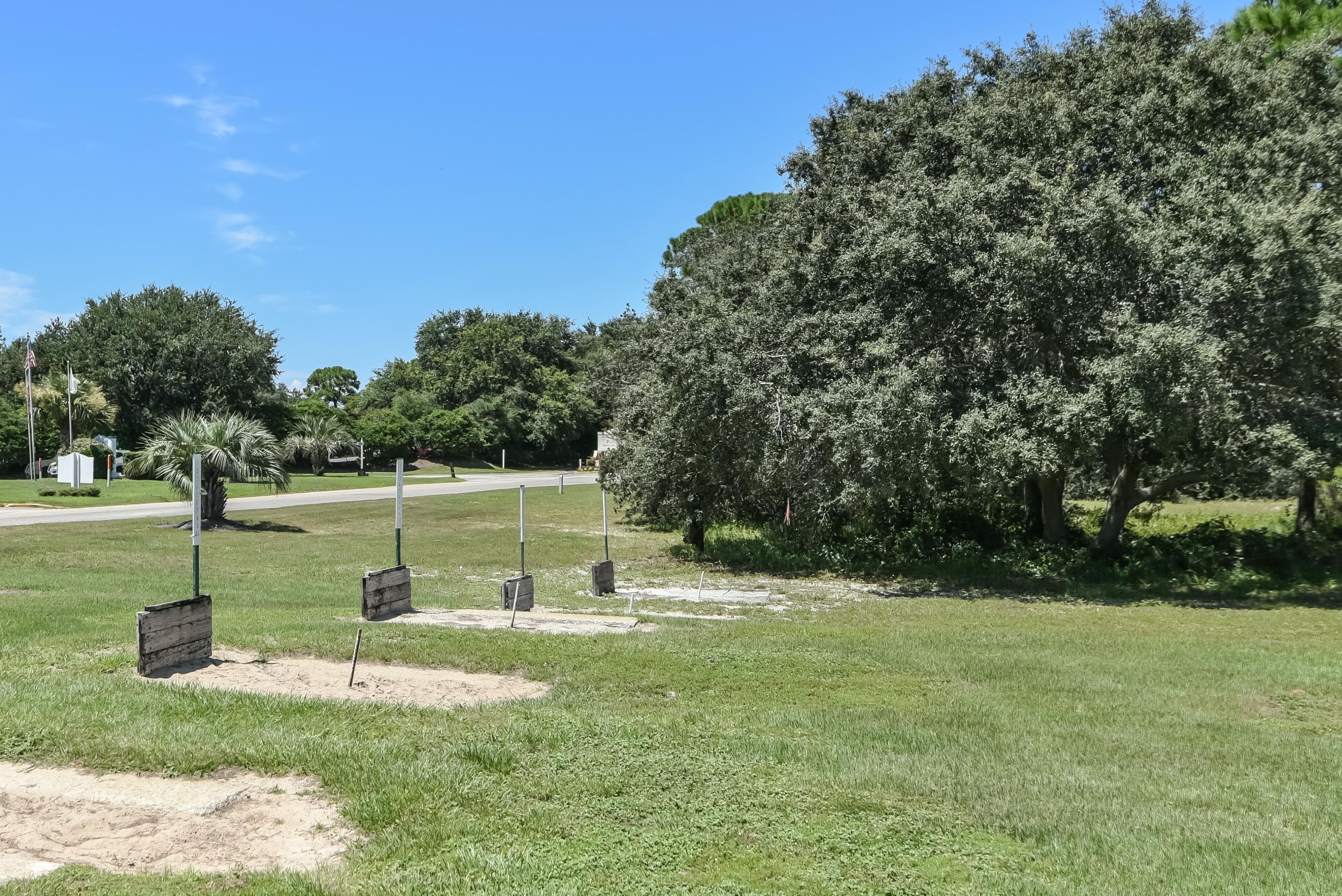 Une zone herbeuse avec un grand arbre et un chemin pavé.