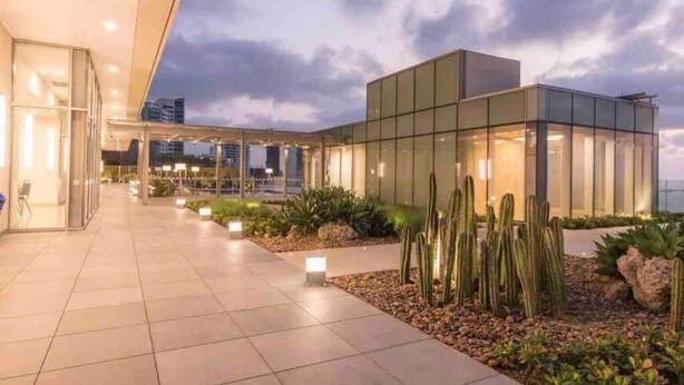 Un edificio moderno con fachada de vidrio, un paseo techado y jardines con cactus.