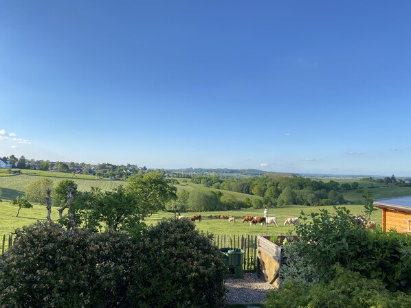 A rural landscape with a view of a green field, trees, and a distant town.