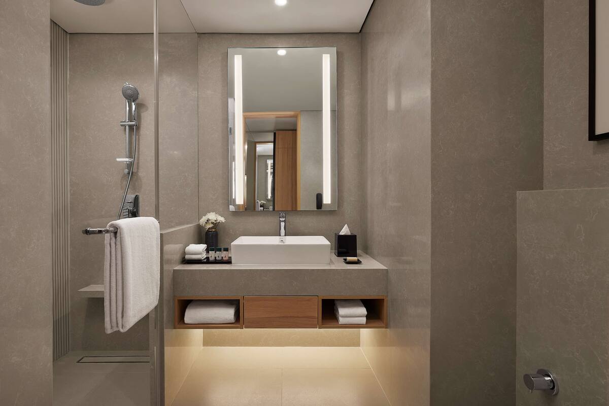 shower, rainfall showerhead, free toiletries, hair dryer