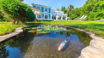 Áreas de la propiedad