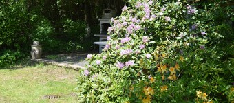 Appartement 2 Chambres Tout Confort Avec Terrasse à L'orée de la Forêt Gaumaise