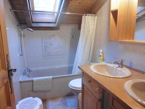 Combined shower/tub, hair dryer