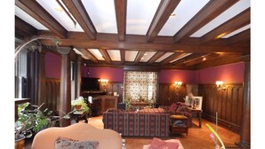 Smart TV, chimenea, reproductor de DVD y libros 