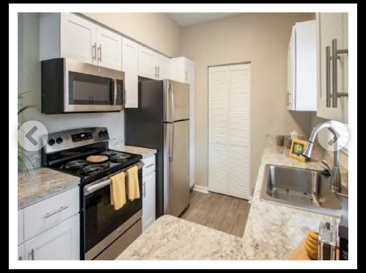 Private Room and Private Bath in Spacious Apartment