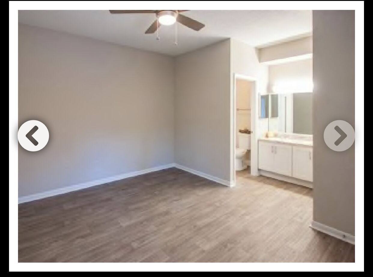 Private Room and Private Bath in Spacious Apartment