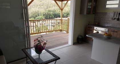 Le Ti colibri, vaste gite T2 SANS SARGASSES