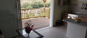 Le Ti Colibri **vaste gite T2 SANS SARGASSES