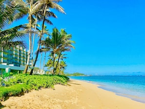 A beach with palm trees, a hotel, and clear blue water.