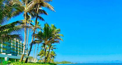 Pheapie Beach Retreat, Beachfront, W/ Air Conditioner, Large Lanai