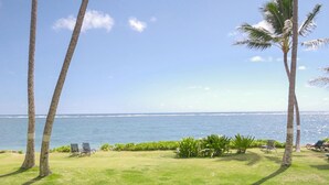 A grassy area with palm trees and chairs facing a beach. - Pheapie Beach Retreat, Beachfront, W/ Air Conditioner, Large Lanai (Hauula)