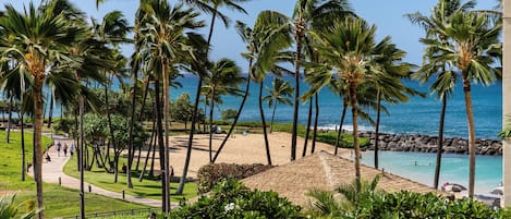Playa en los alrededores