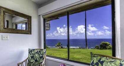 A1: 1 bedroom, 1st floor, oceanfront