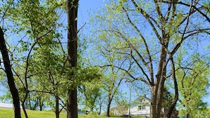 A wooden bridge in a park with trees and a grassy field.
