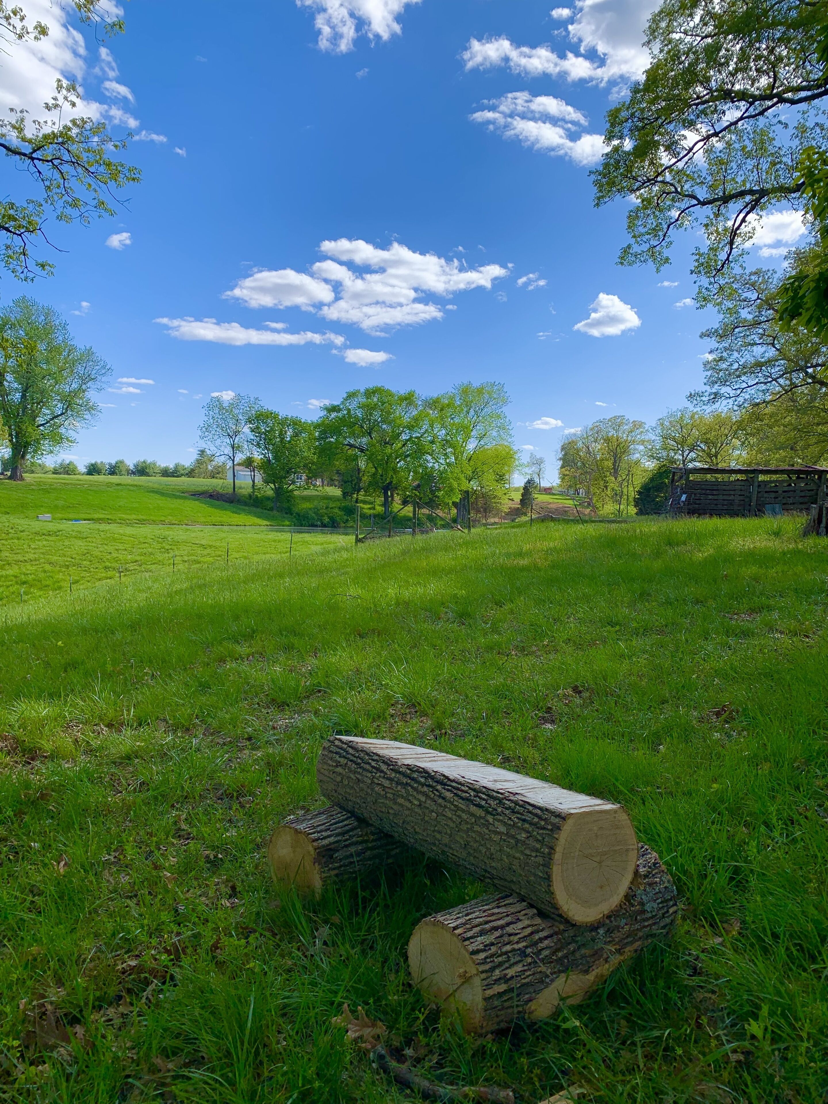 A grassy field with a stack of logs in the foreground and trees in the background.