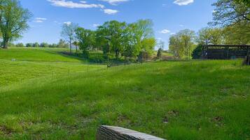 A grassy field with a stack of logs in the foreground and trees in the background.