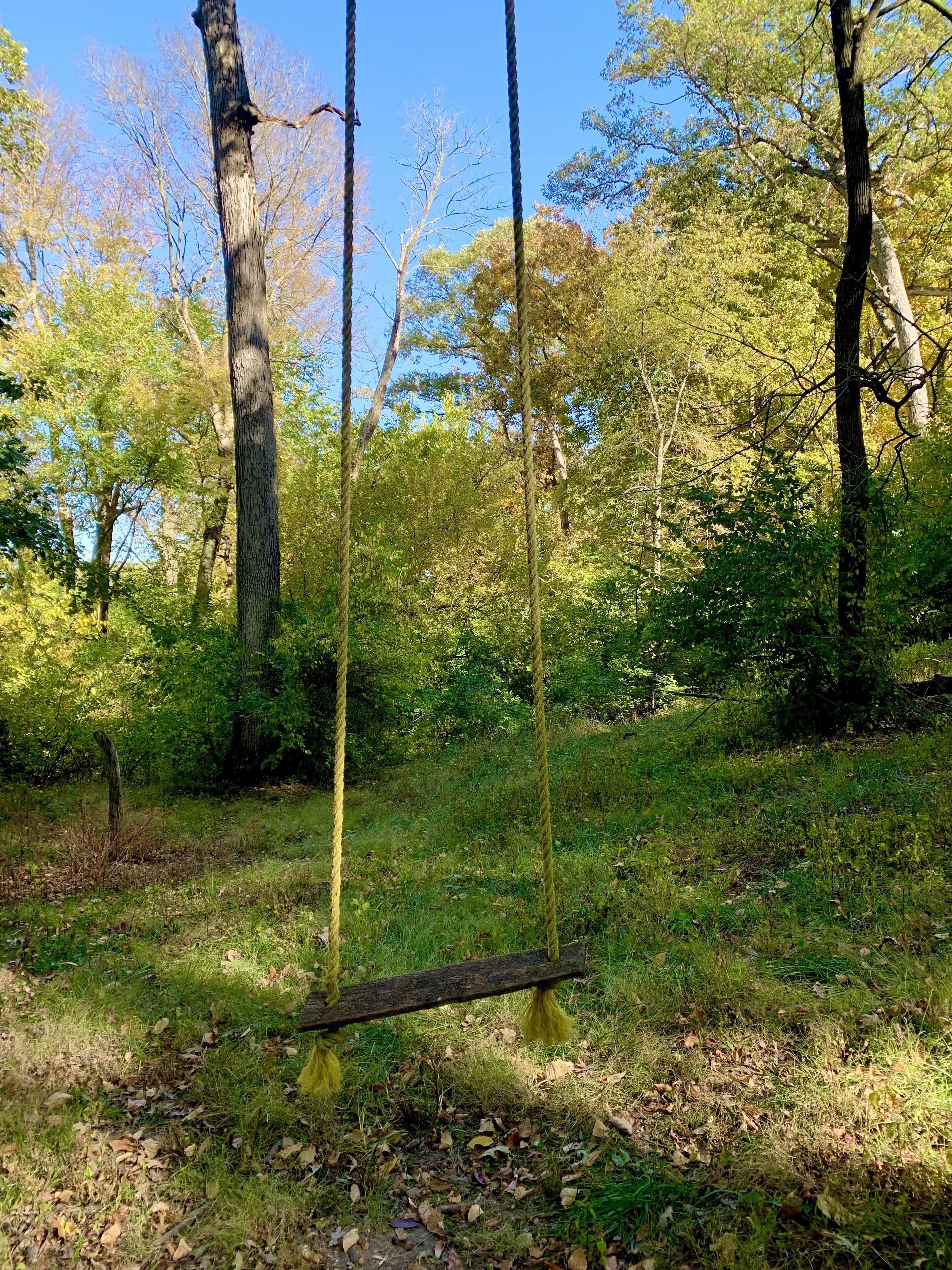 A swing set in a wooded area with trees and grass.