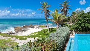 A beach view with palm trees, a pool, and a rocky shoreline. - Amazing Beachfront Villa With Pool - Emily House (5 bed) (Atlantic Shores)