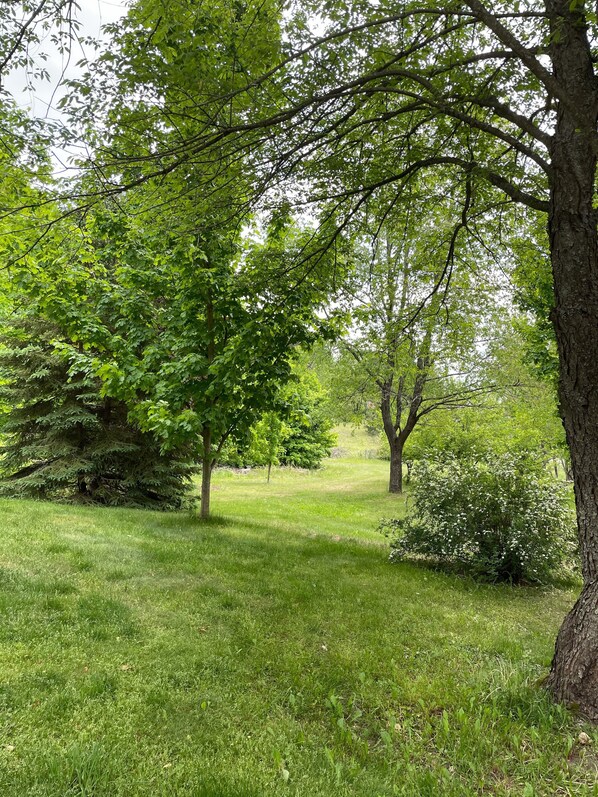 A lush green park with trees and grass. - Family Home Close to Torch Lake and Traverse City (Rapid City)