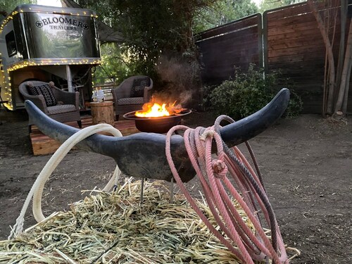 The Pony Experience Farm Stay! 501c3