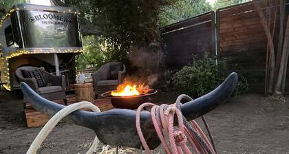 The Pony Experience Farm Stay! 501c3