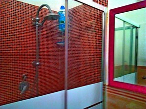 Shower, hair dryer, bidet, towels