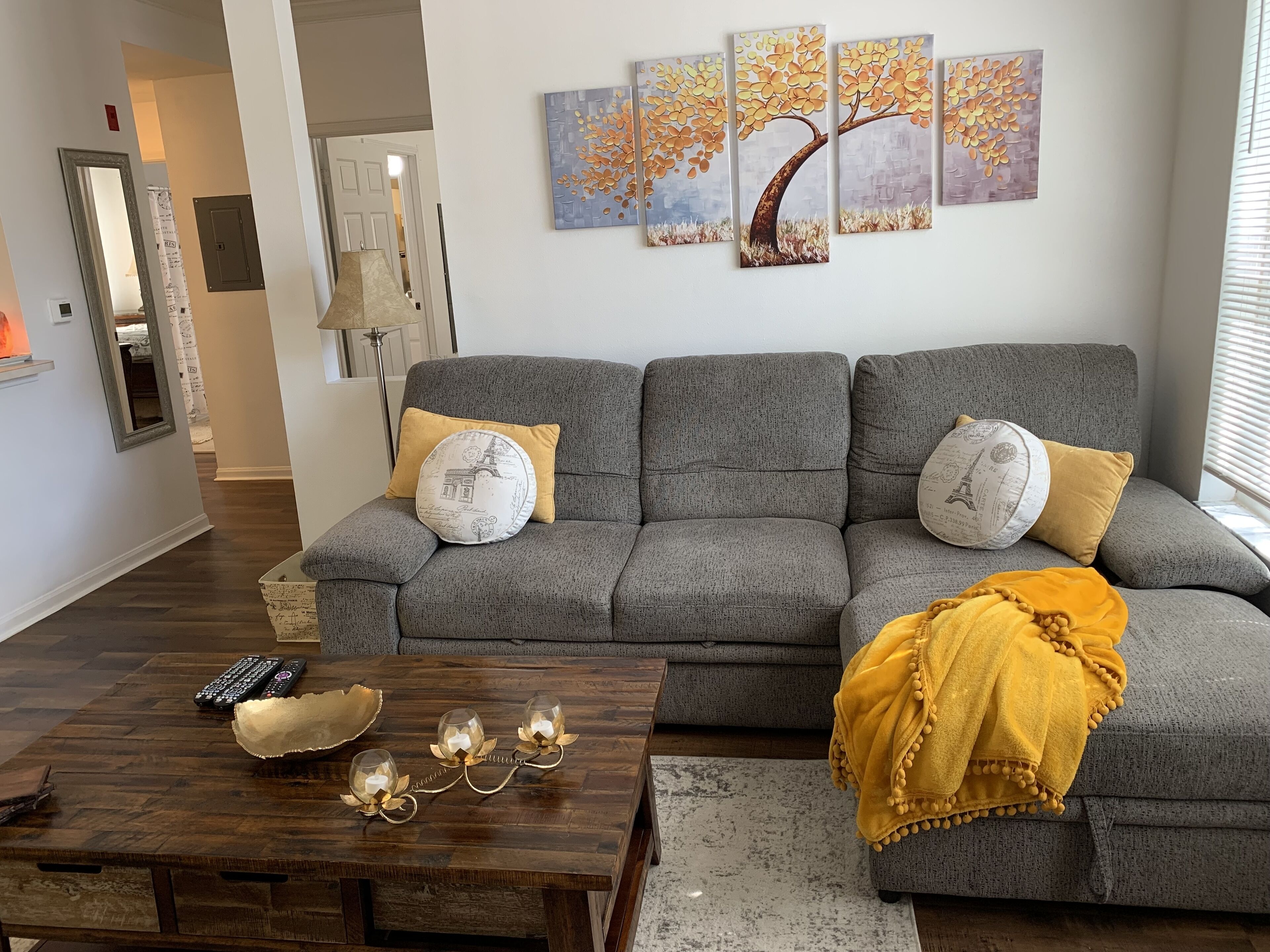 智能电视、DVD 播放器