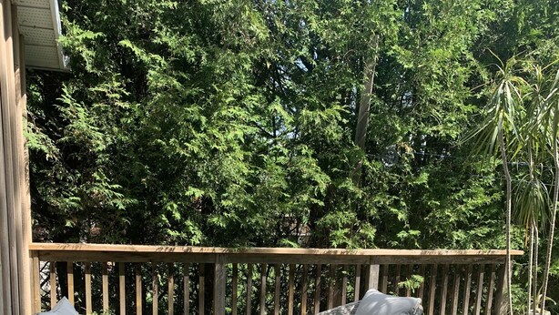 A wooden deck with wicker furniture and a glass table. - Victorian Home near downtown, Georgian Bay and many bike & hiking trails (Collingwood)