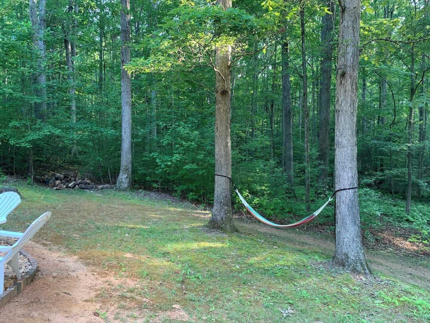 Un hamac tendu entre deux arbres dans une zone boisée, avec une table de pique-nique à proximité.