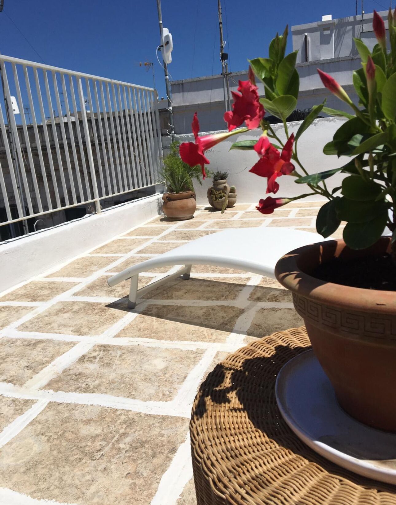 A rooftop terrace with potted plants and a wicker chair.