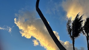 Ein Strand mit Palmen, Meereswellen und einem Sonnenuntergang.