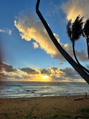 Beach nearby, sun loungers, beach towels