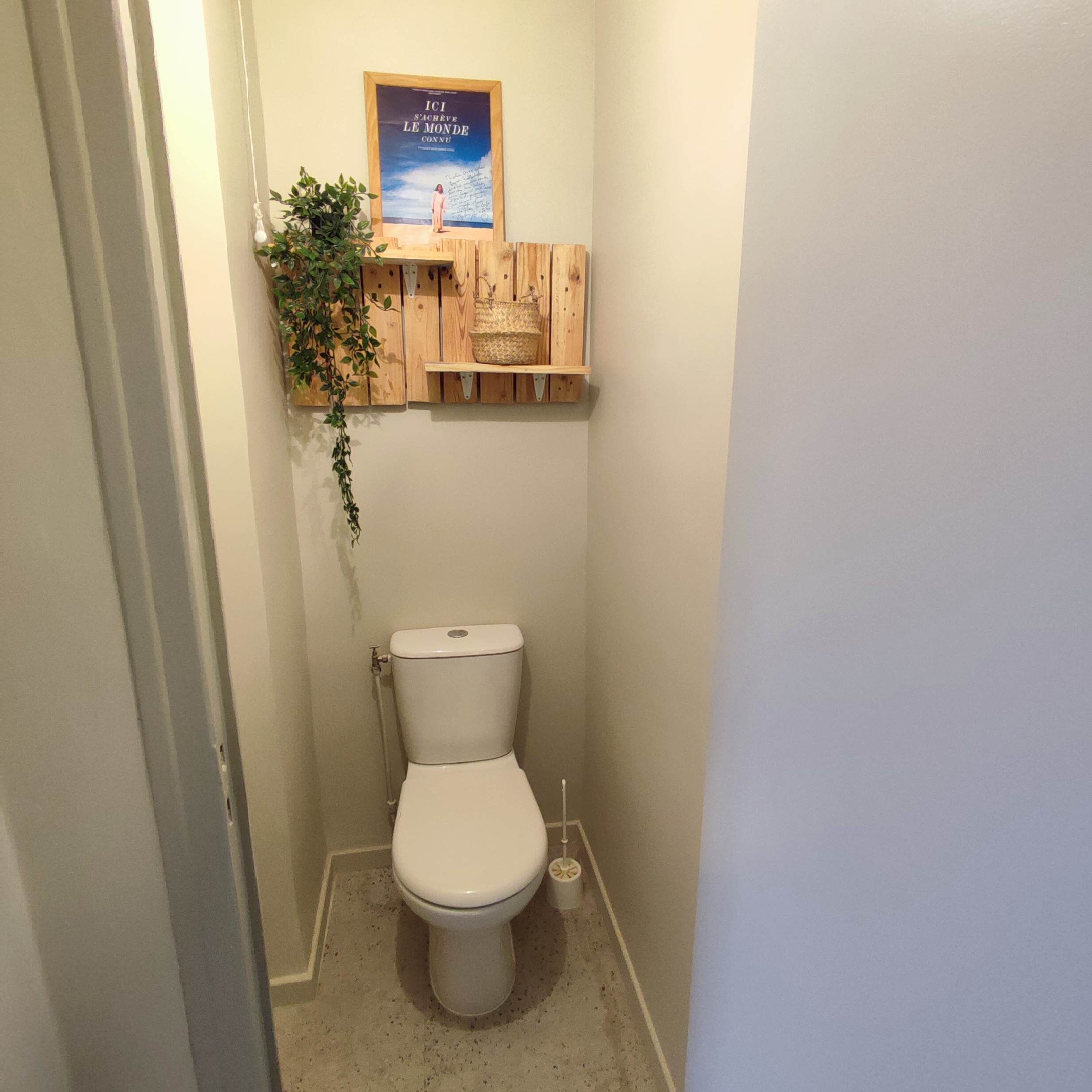A small bathroom with a toilet, a wooden shelf above it, and a potted plant.