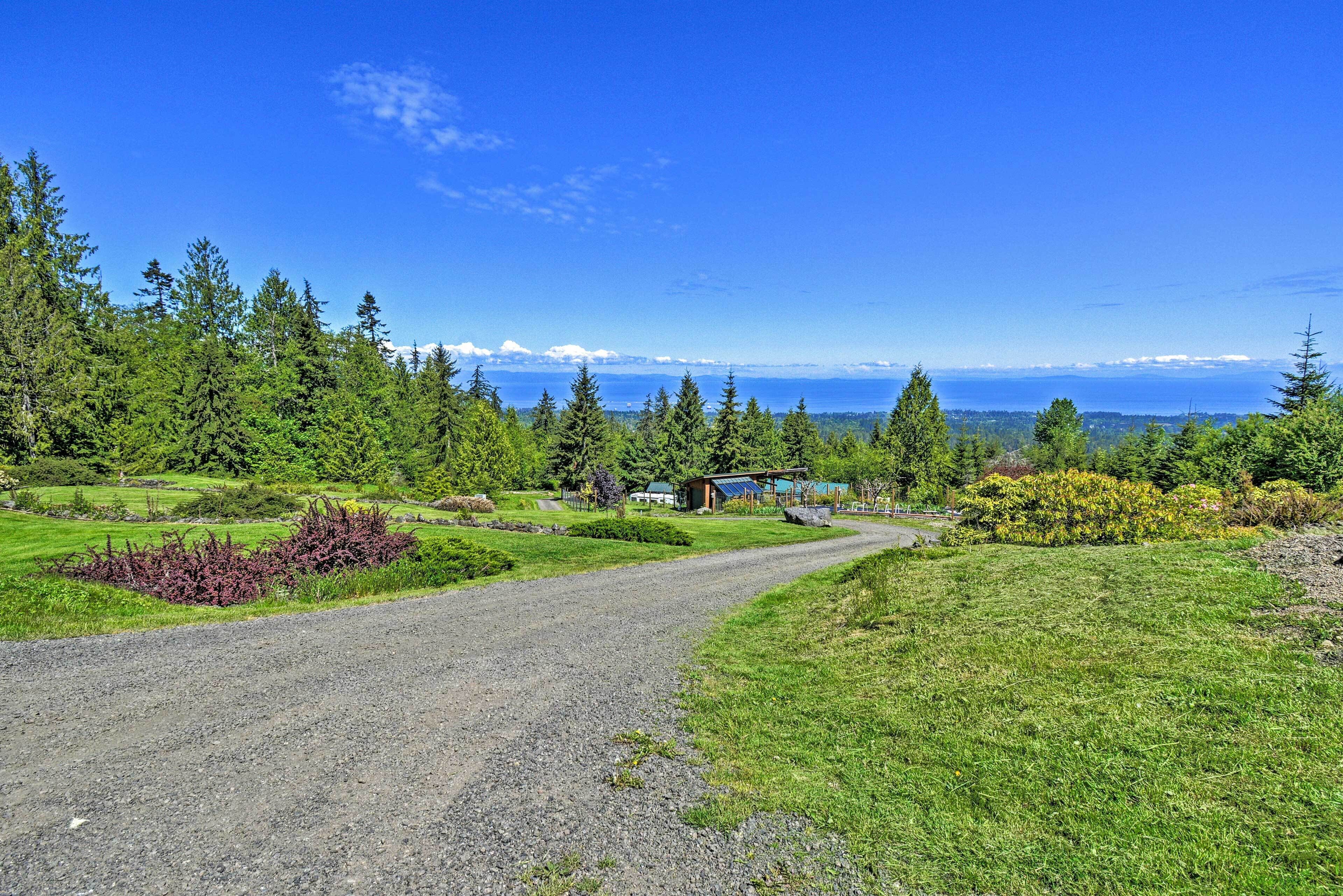 Soratie johtaa mökille, jonka ympärillä on tiheä metsä ja yllä kirkas, sininen taivas.