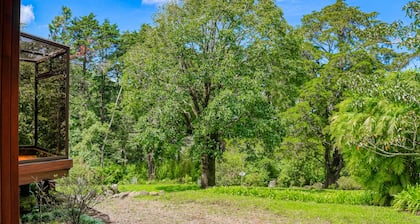 Rustic Cabin W/ High-Speed WiFi, Full Kitchen, Great Views, Large Deck & More