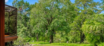 Rustic Cabin W/ High-Speed WiFi, Full Kitchen, Great Views, Large Deck & More