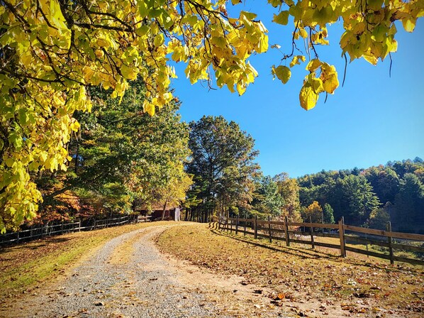 A gravel path flanked by wooden fences and trees with yellow leaves, leading into a forested area. - Fiddlers Farmhouse New River Trail, Mountains, hiking, Biking, Galax, Fries (Galax)
