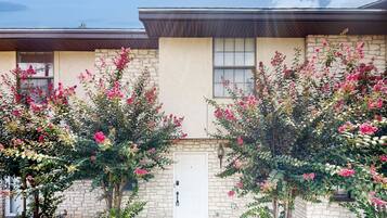 DĂ©tail de lâextĂ©rieur