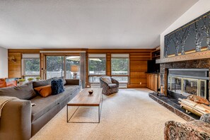 TV, fireplace, ping pong, books