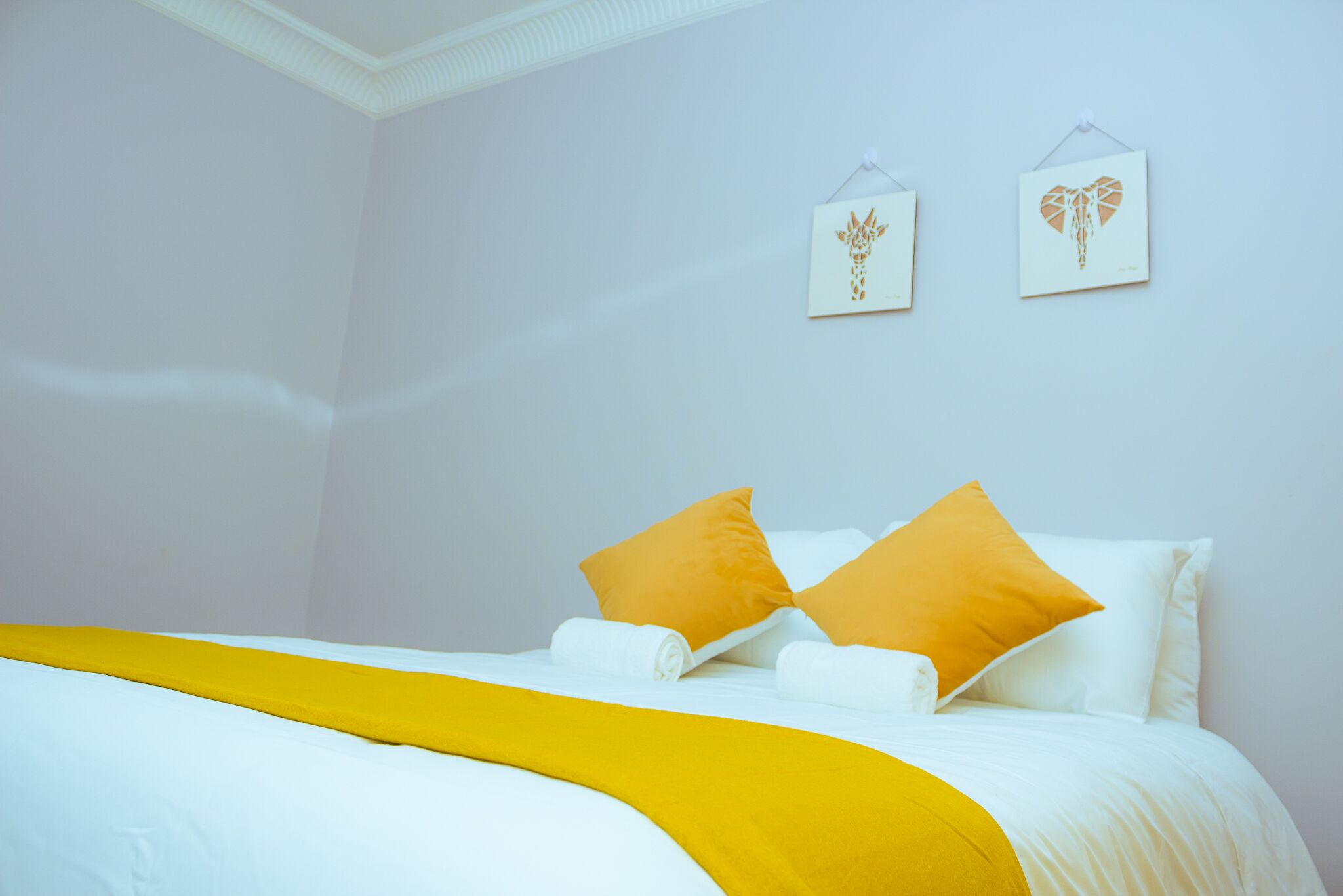 2 多间卧室、WiFi