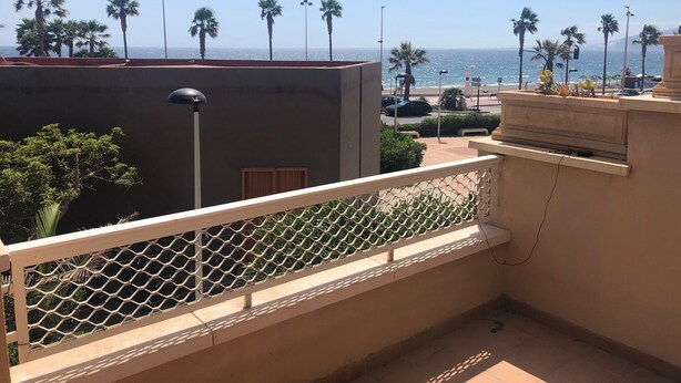 Un balcon avec vue sur la mer, des palmiers et un espace de stationnement.