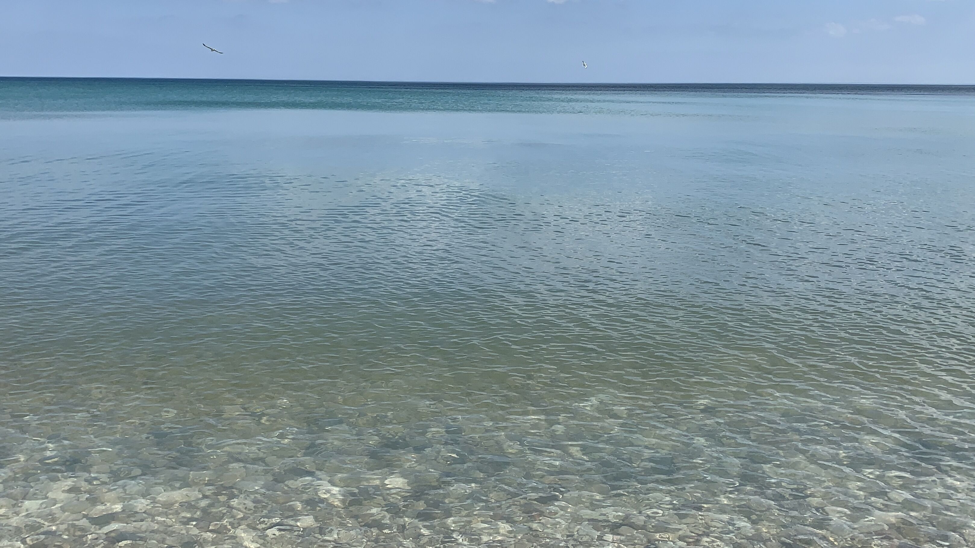 A clear view of a beach with shallow water revealing rocks and pebbles.