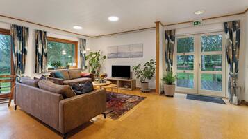 Fernseher, Stereoanlage