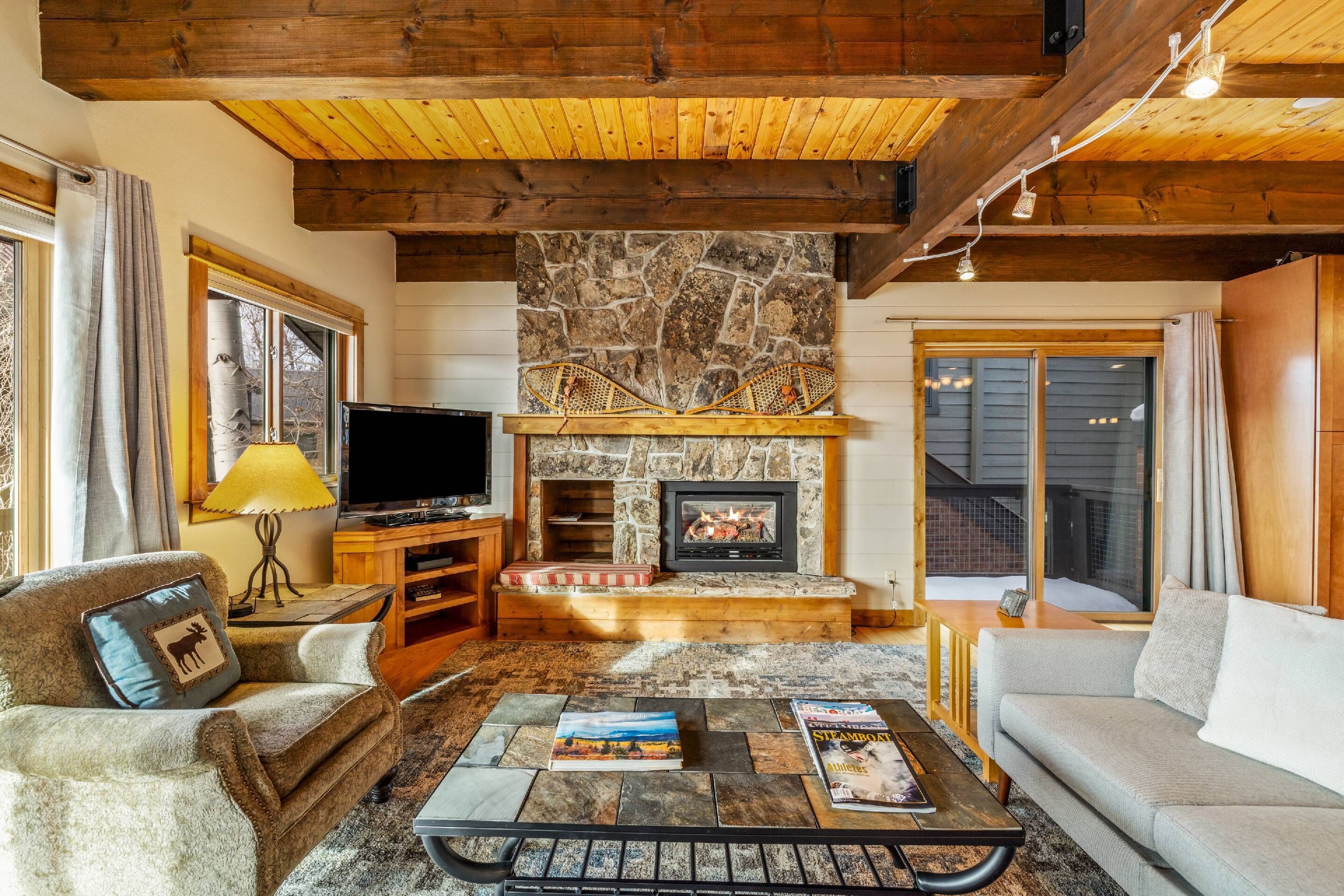 Smart TV, fireplace, books