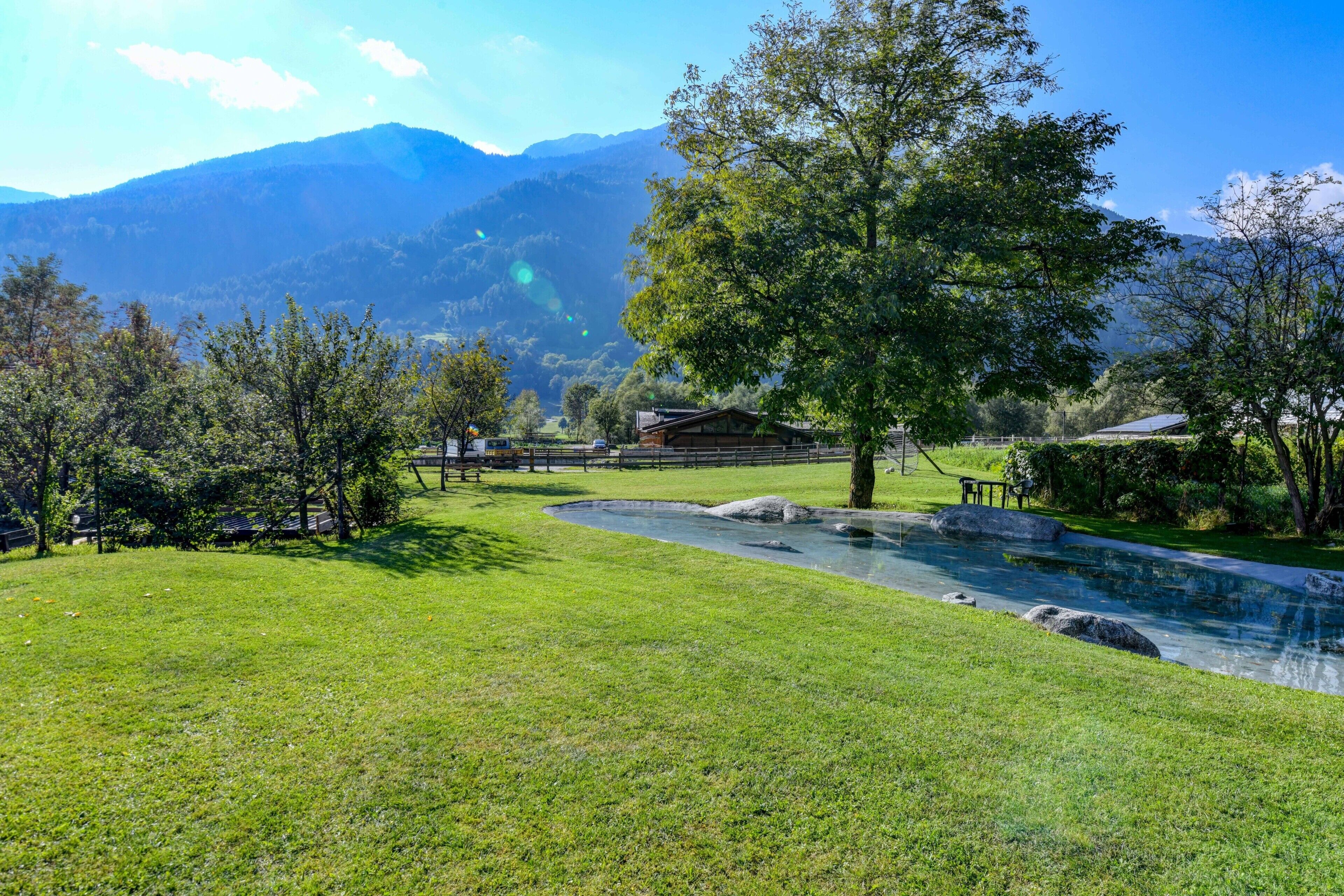 Une zone herbeuse avec un petit étang, une clôture en bois et un bâtiment en arrière-plan.