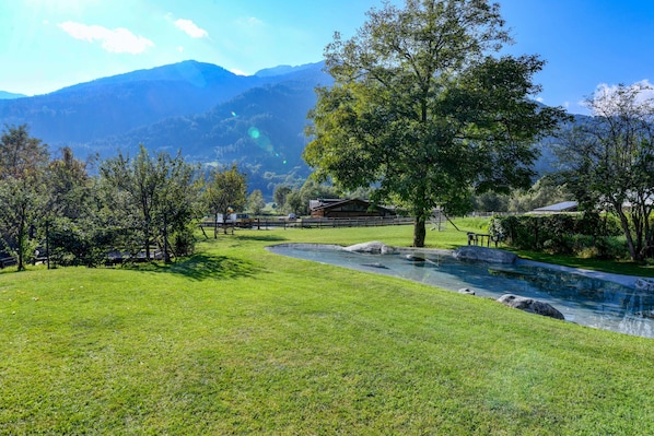 A grassy area with a small pond, a wooden fence, and a building in the background.
