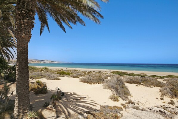Vlak bij het strand